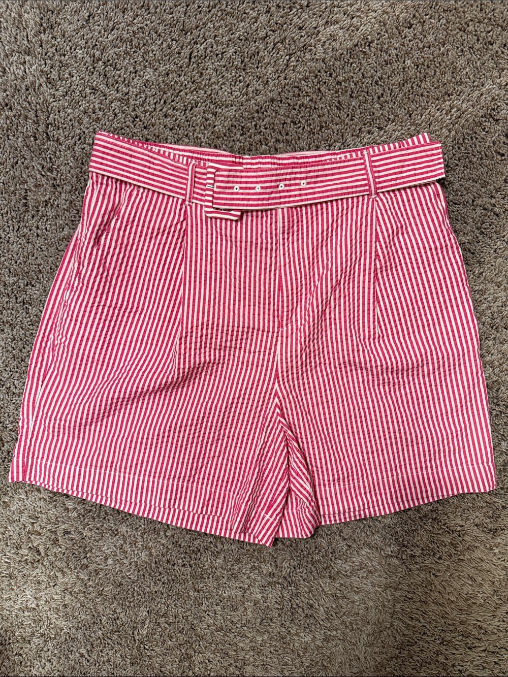A New Day Striped High Waisted Belted Shorts